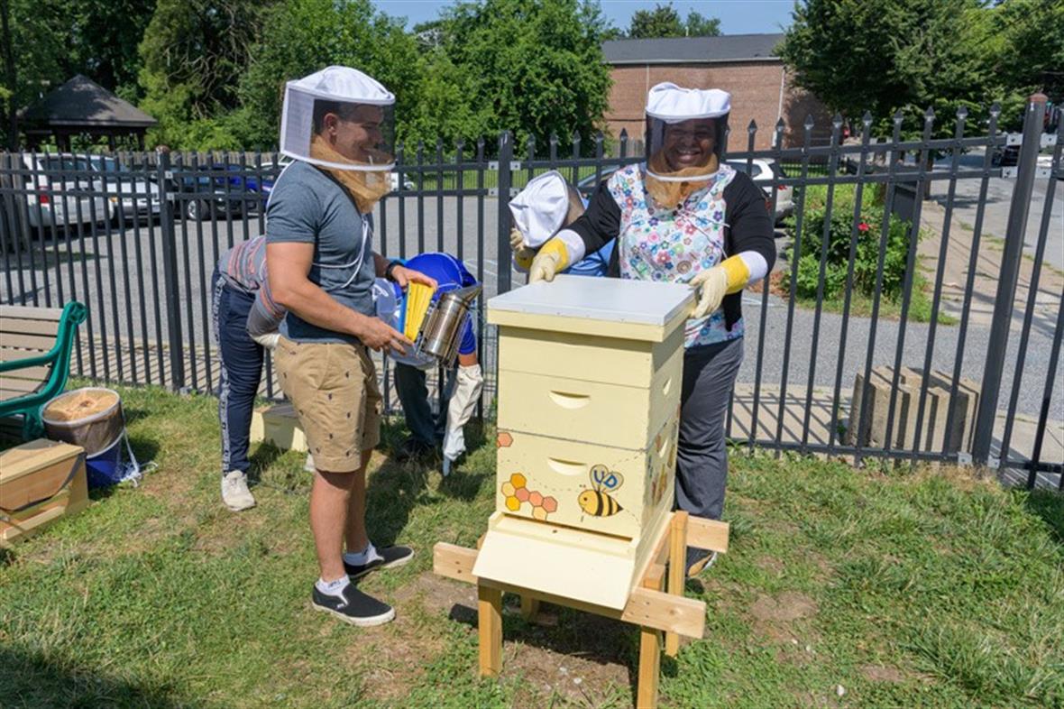 Students check hives