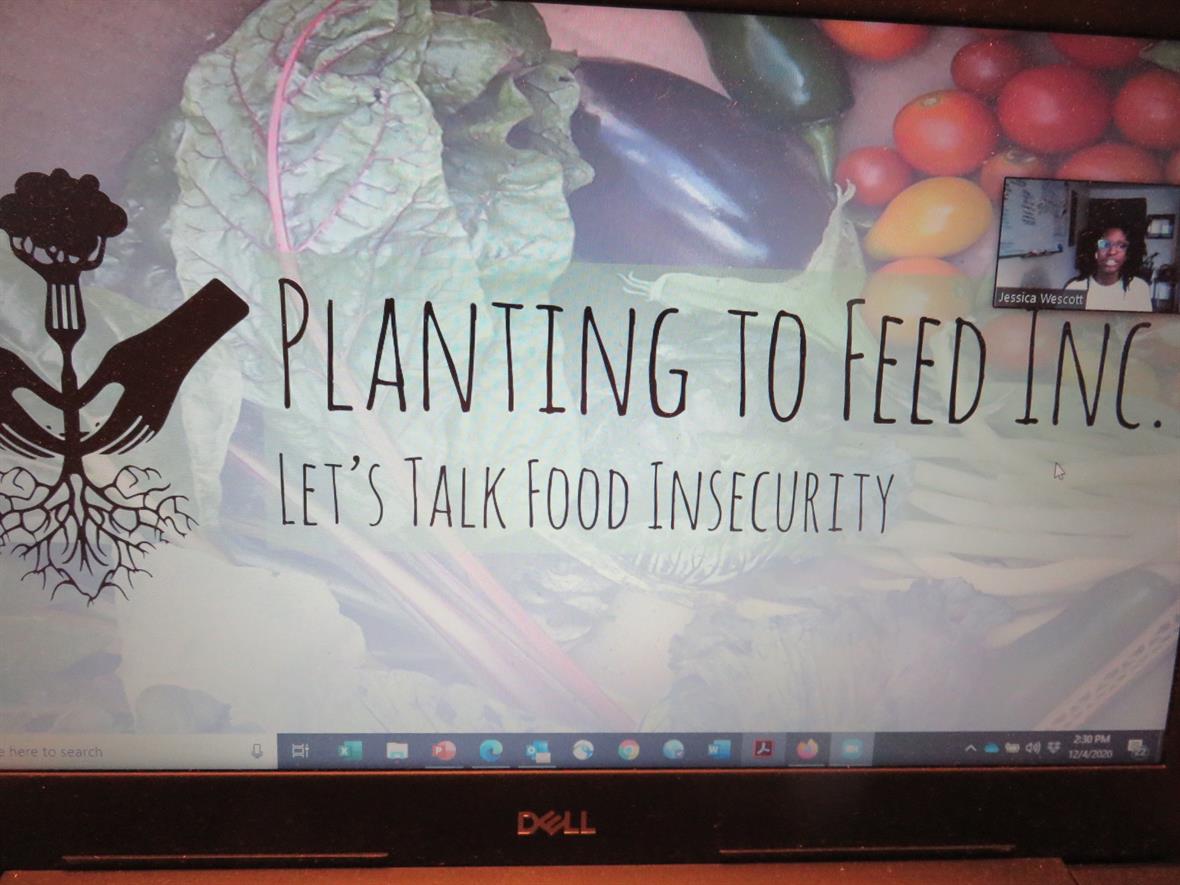 planting to feed logo