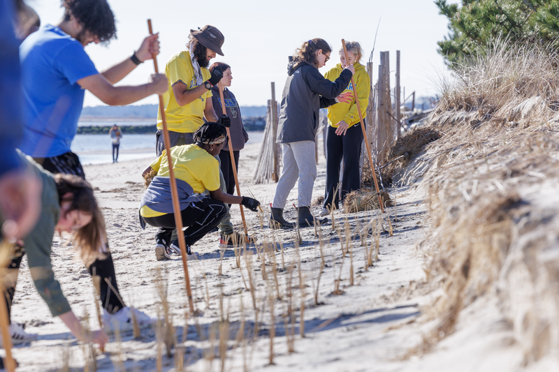 Students helping clean the beach
