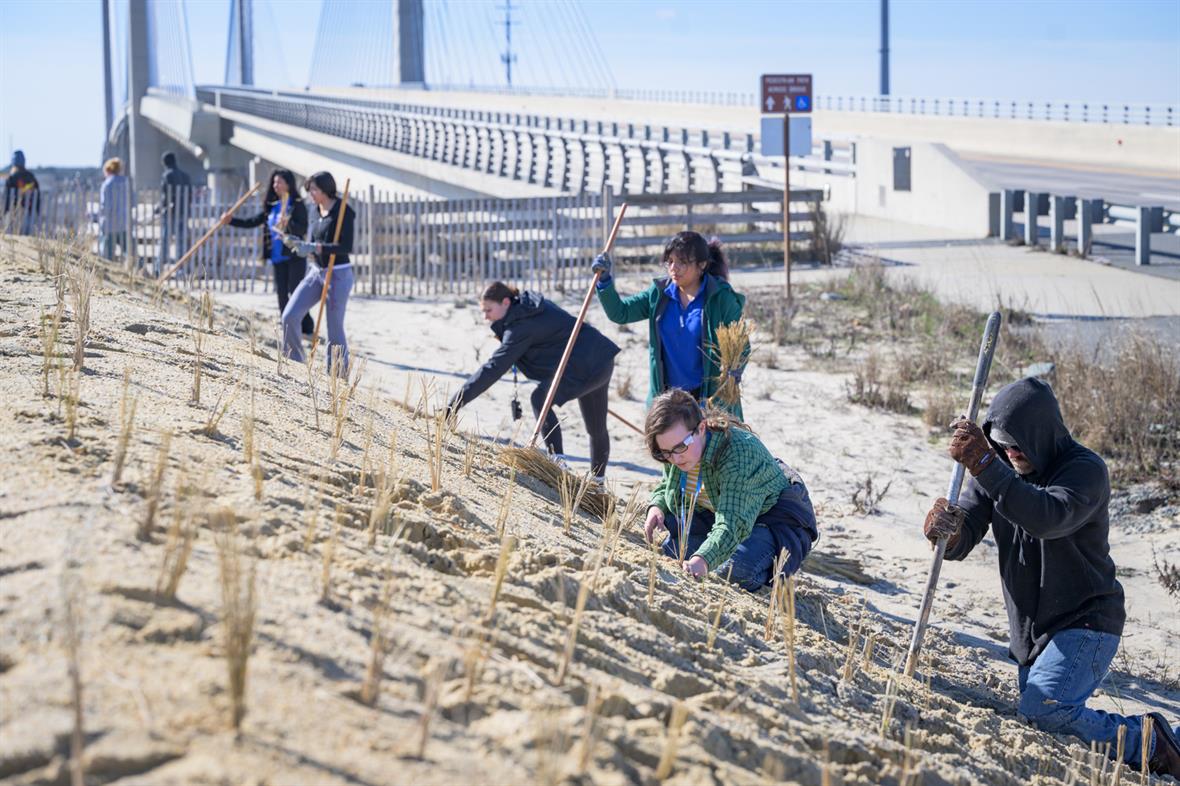 Students cleaning beach